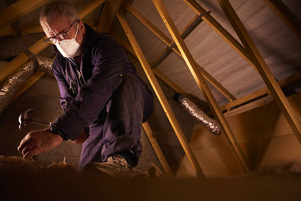 Best Home Insulation Services  in Innotion, VA
